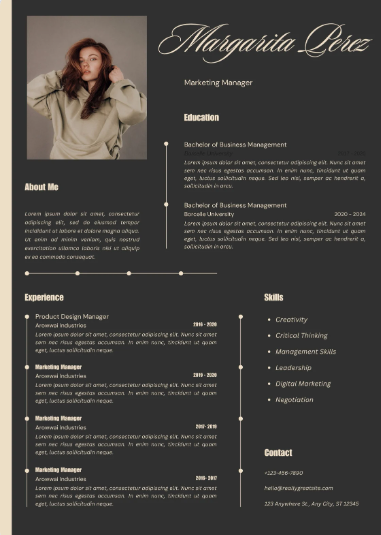 Professional CV Sample 46